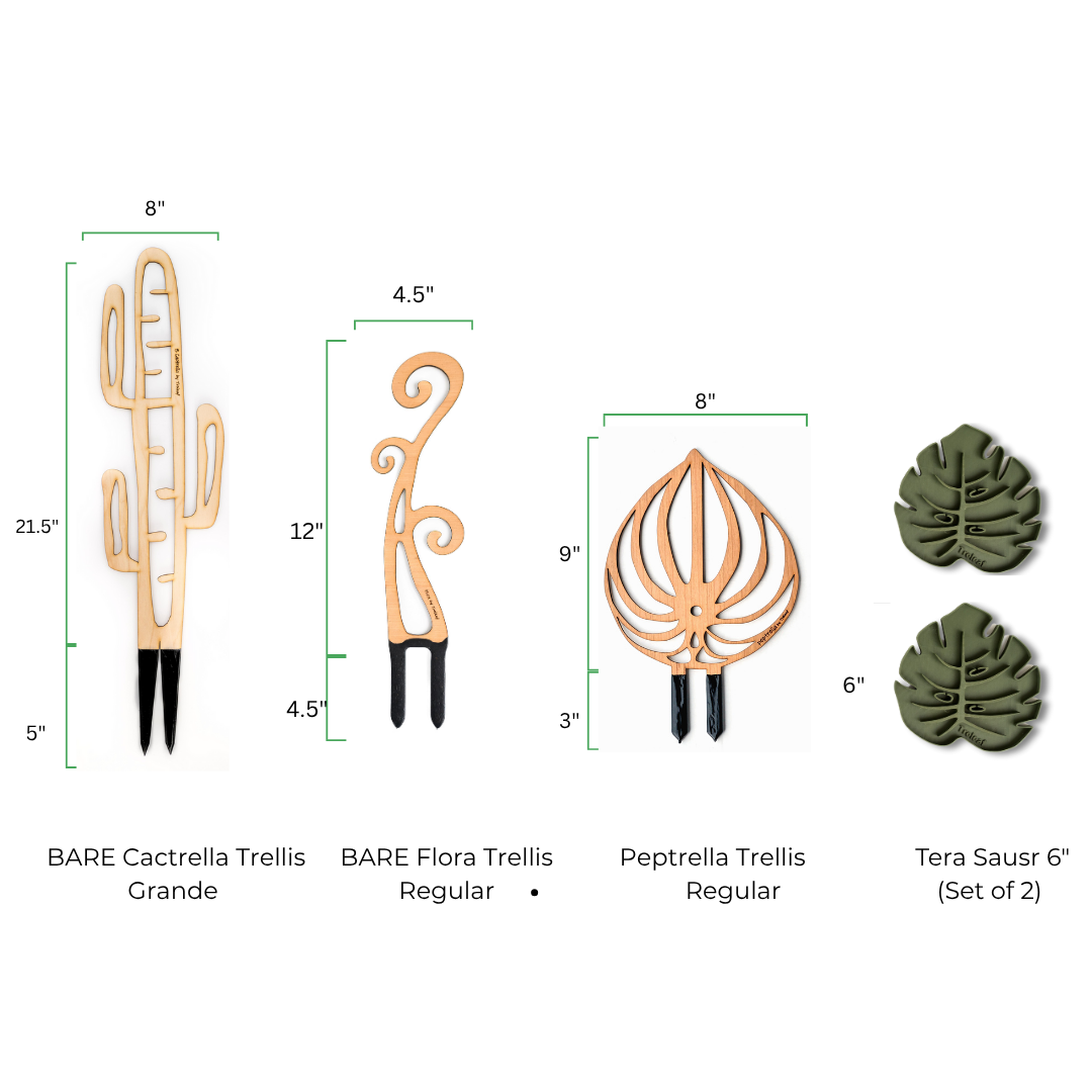 Dimensions of decorative plant supports and accessories including a BARE Grande Palmella Trellis, BARE Flora Trellis Regular, Regular Peptrella Trellis, and Tera plant pot coasters 6"  on a white background.