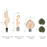 Dimensions of decorative plant supports and accessories including a BARE Grande Palmella Trellis, BARE Flora Trellis Regular, Regular Peptrella Trellis, and Tera plant pot coasters 6"  on a white background.
