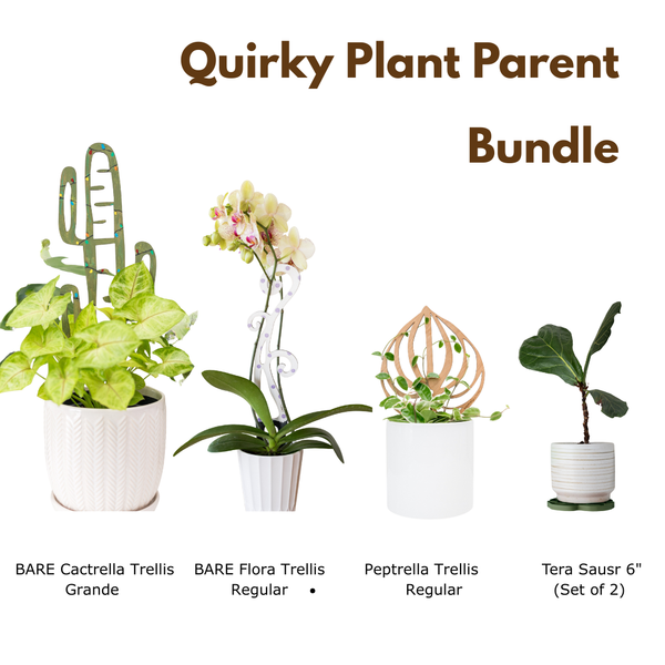  decorative plant supports and accessories including a BARE Grande Palmella Trellis, BARE Flora Trellis Regular, Regular Peptrella Trellis, and Tera plant pot coasters 6"  on a white background.