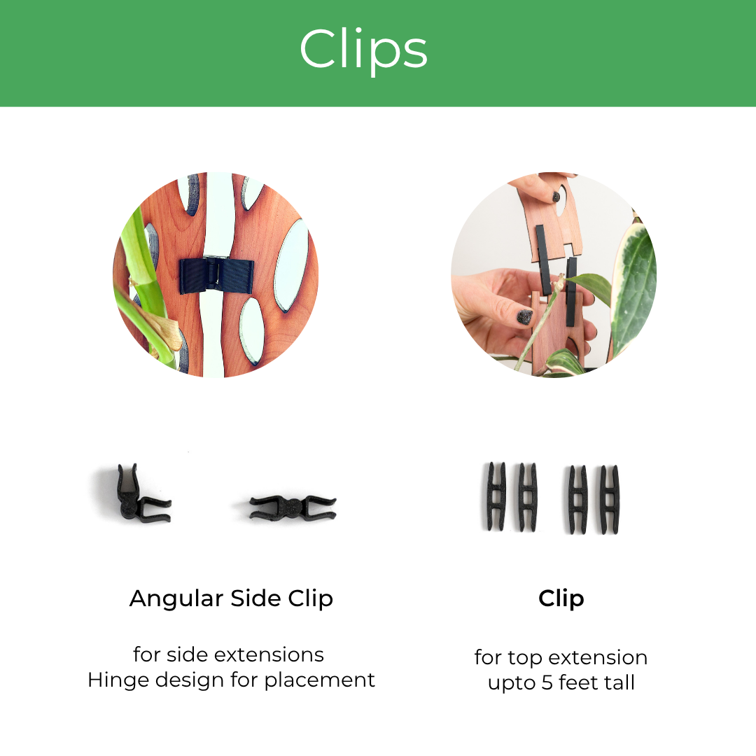 wooden trellis clips with descriptions on a white background
