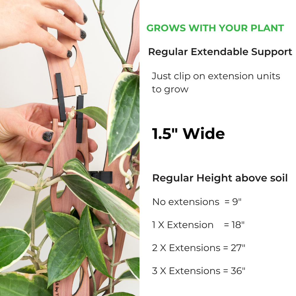 zella_extension_infographic_10