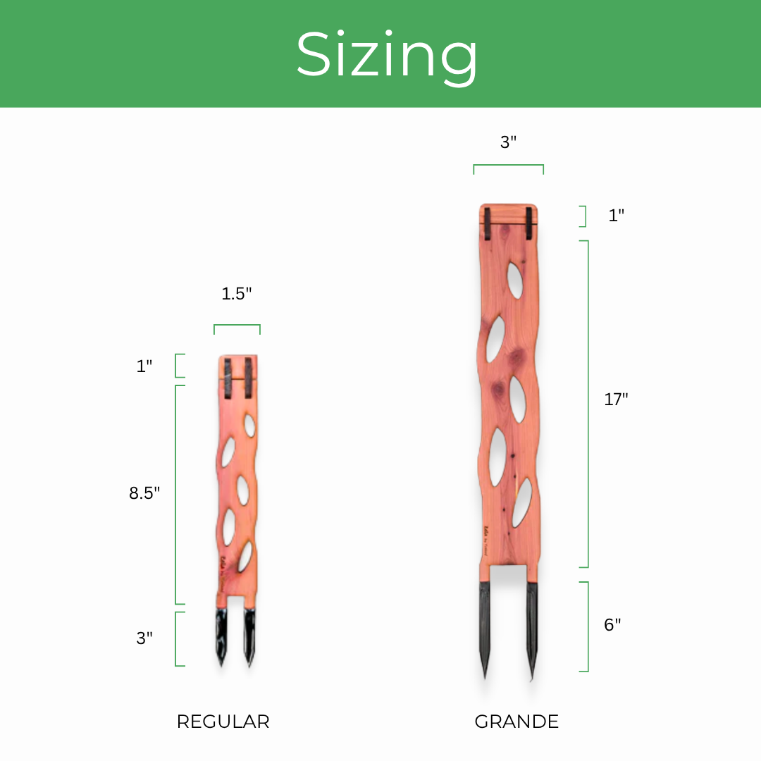 Measurement chart for 'Regular' and 'Grande' sizes of zella modular trellis with dimensions labeled.