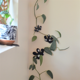Imprint - Wall Mounted plant support