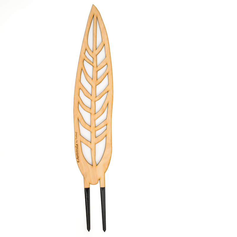 Laser cut wooden plant stake shaped like a leaf with engraving Anthrulla by Treleaf