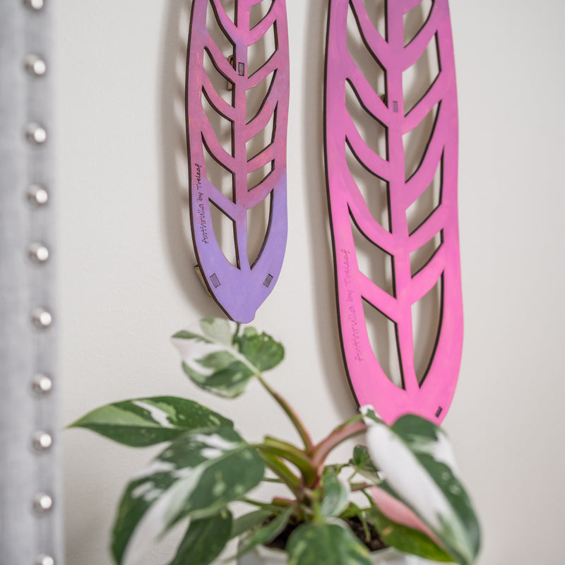 Pink colored regular and grande sized customizable anthurium leaf-shaped plant support