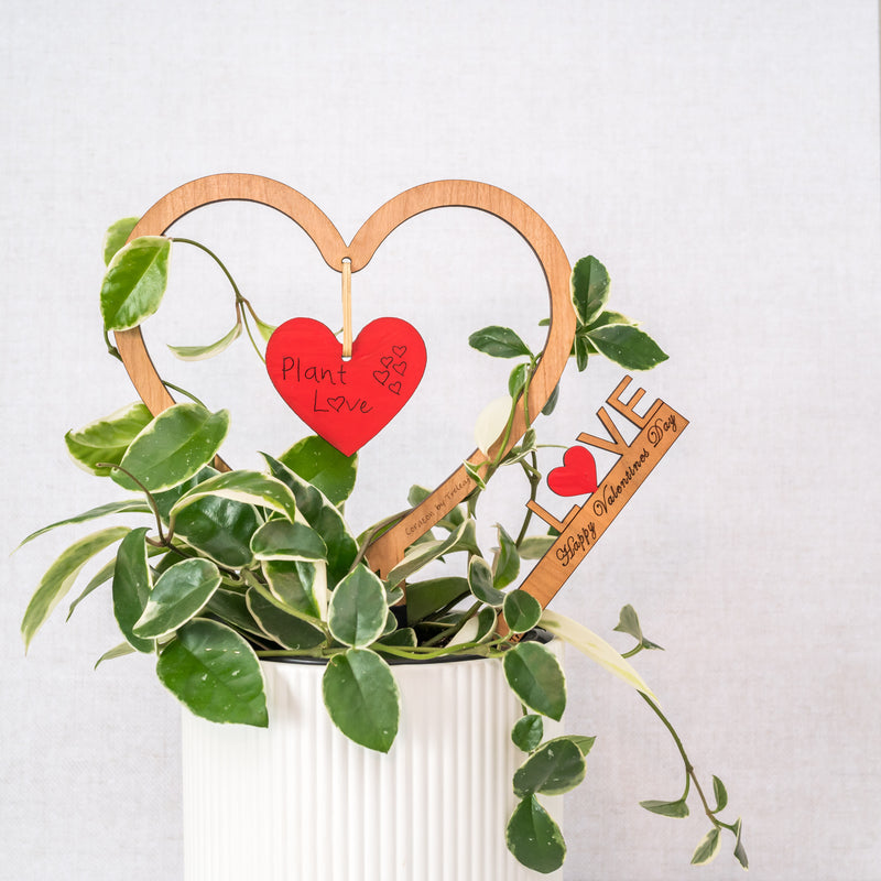 Corazon - Plant trellis shaped like a heart