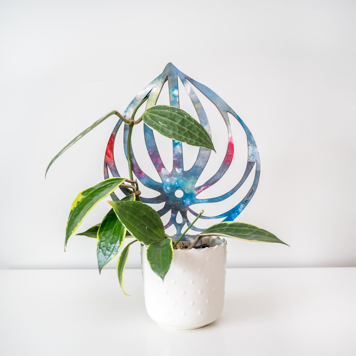 BARE™ Peptrella™ - Customizable wooden plant support - Inspired by the Peperomia leaf