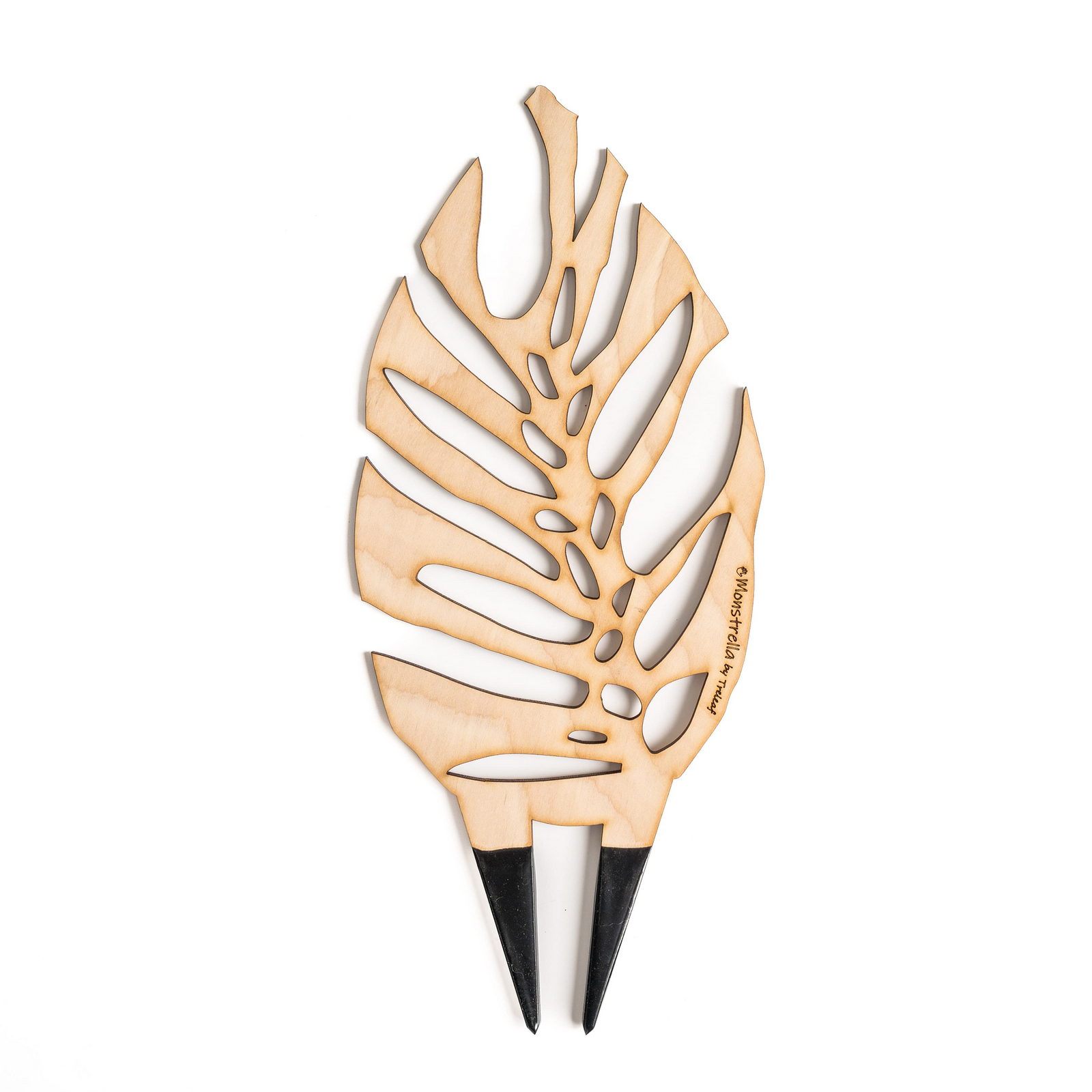 monstera wood BARE™ Monstrella™