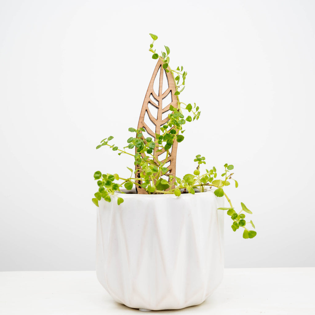 Free Miniature Treleaf® Trellis Sample Pack - ONLY FOR VERIFIED RETAILERS