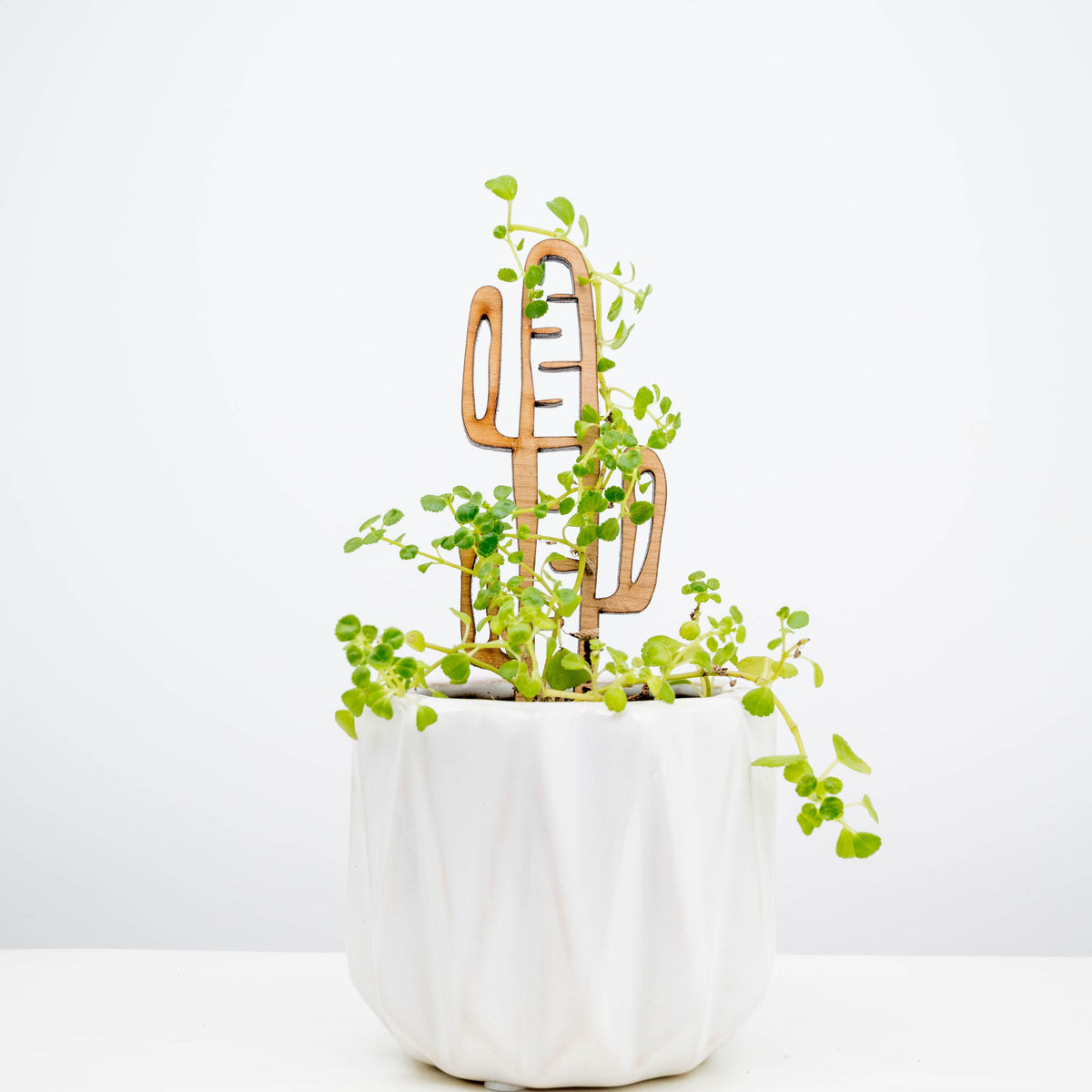 Free Miniature Treleaf® Trellis Sample Pack - ONLY FOR VERIFIED RETAILERS