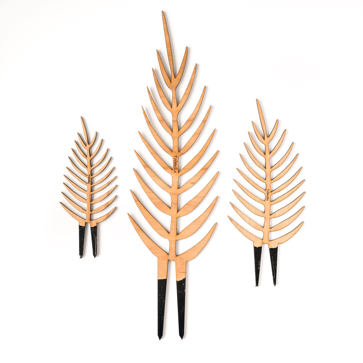 Palmella - Plant trellis inspired by the Palm Leaf