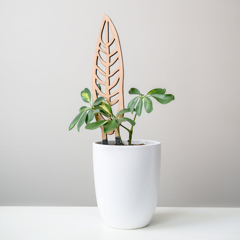 wood trellis for plants Anthrulla