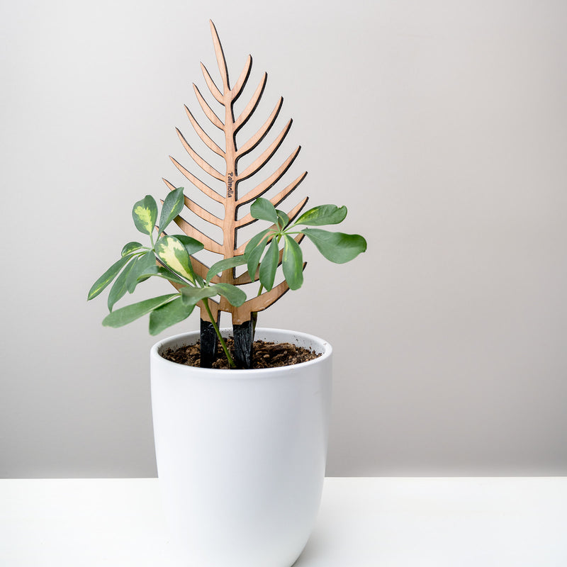 Palmella - Plant trellis inspired by the Palm Leaf