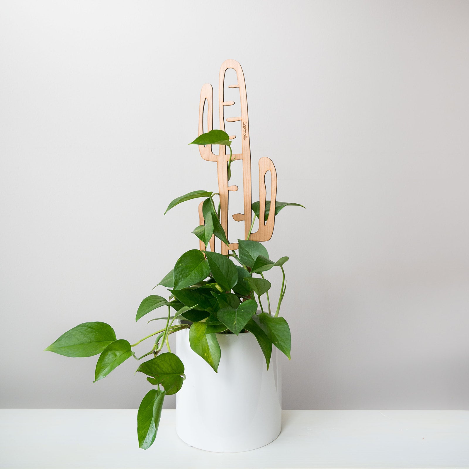 Classic Modular - Grows with you! BARE - Make it yours!