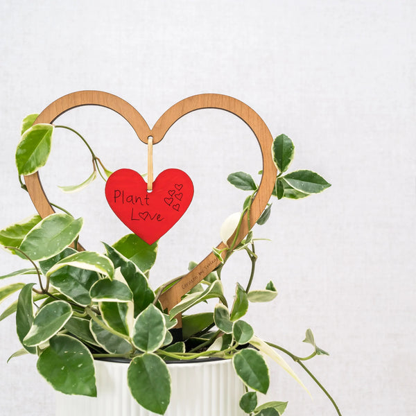 heart shaped wooden trellis for hoya and vining climbing plants plants with dangling red wooden heart with rubber coated water proof staked valentine special gift edition 